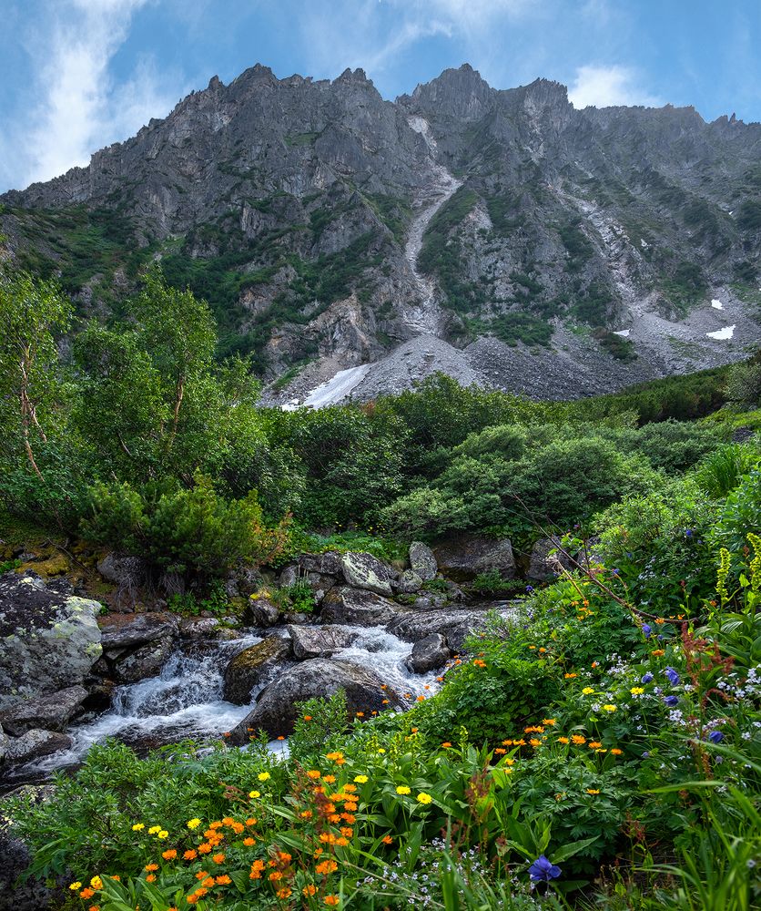 На альпийских лугах