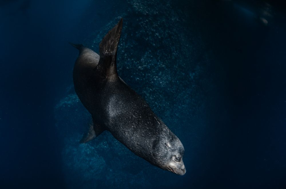 Фотография автора Erika Beux