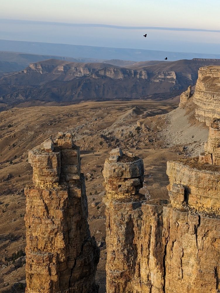 Photograph by Елена