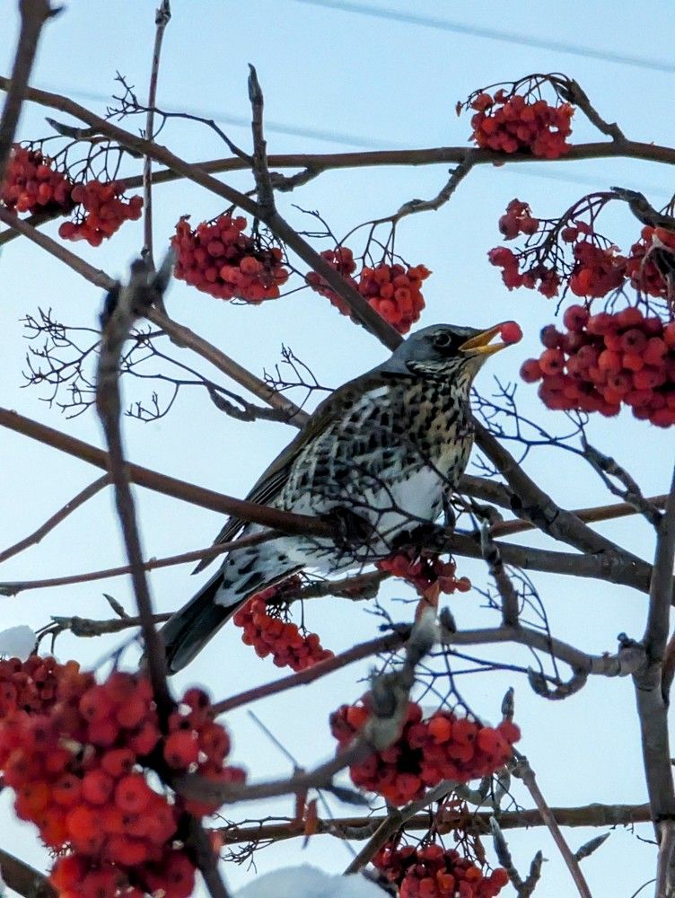 Photograph by Елена