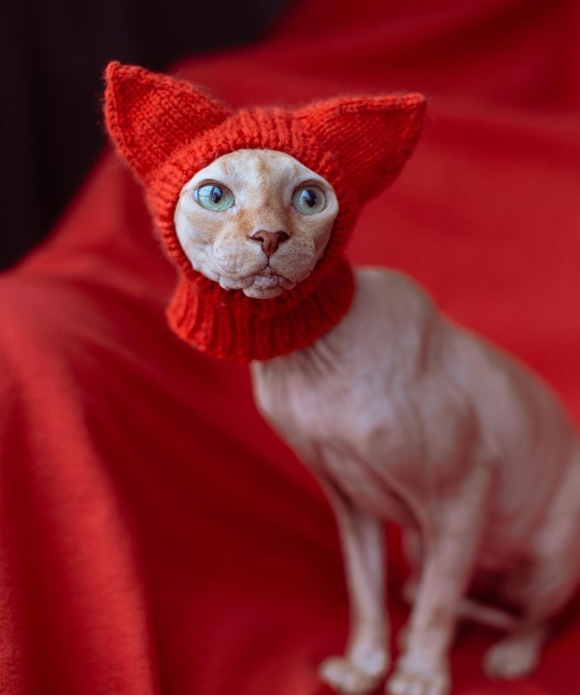 Photograph by Наталья Домненко