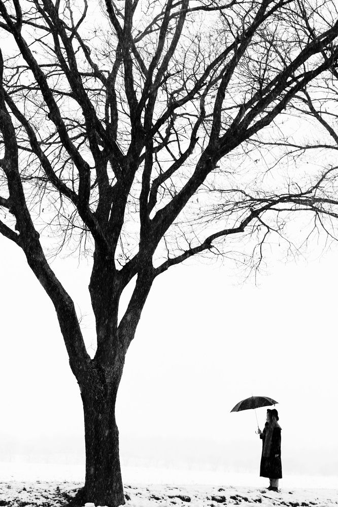 Photograph by Алина Шевченко