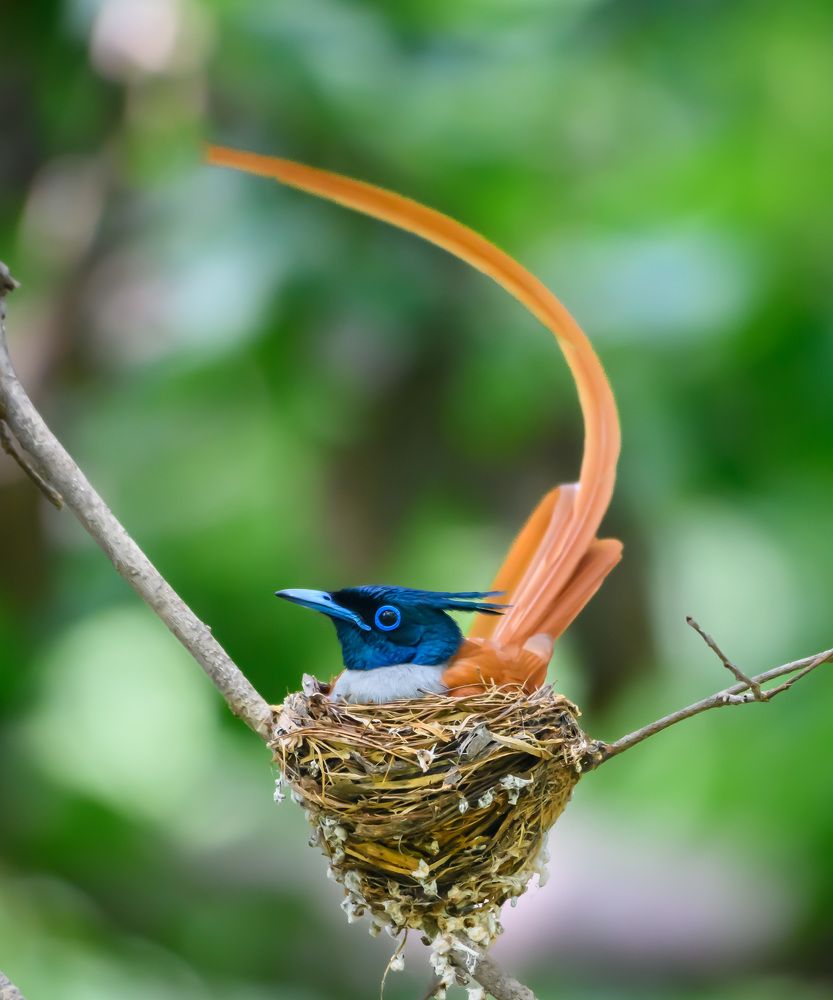 Photograph by Backbutton Autofocus