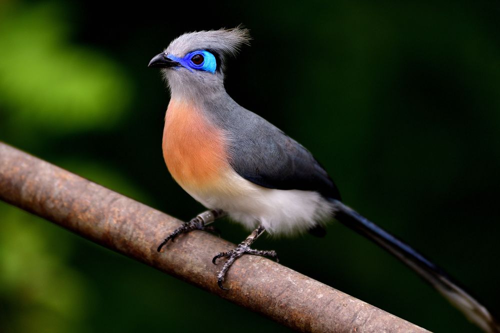 Photograph by Richard Oh