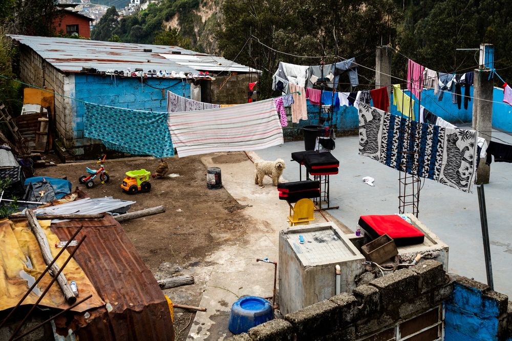 'THIS IS MY BACKYARD'