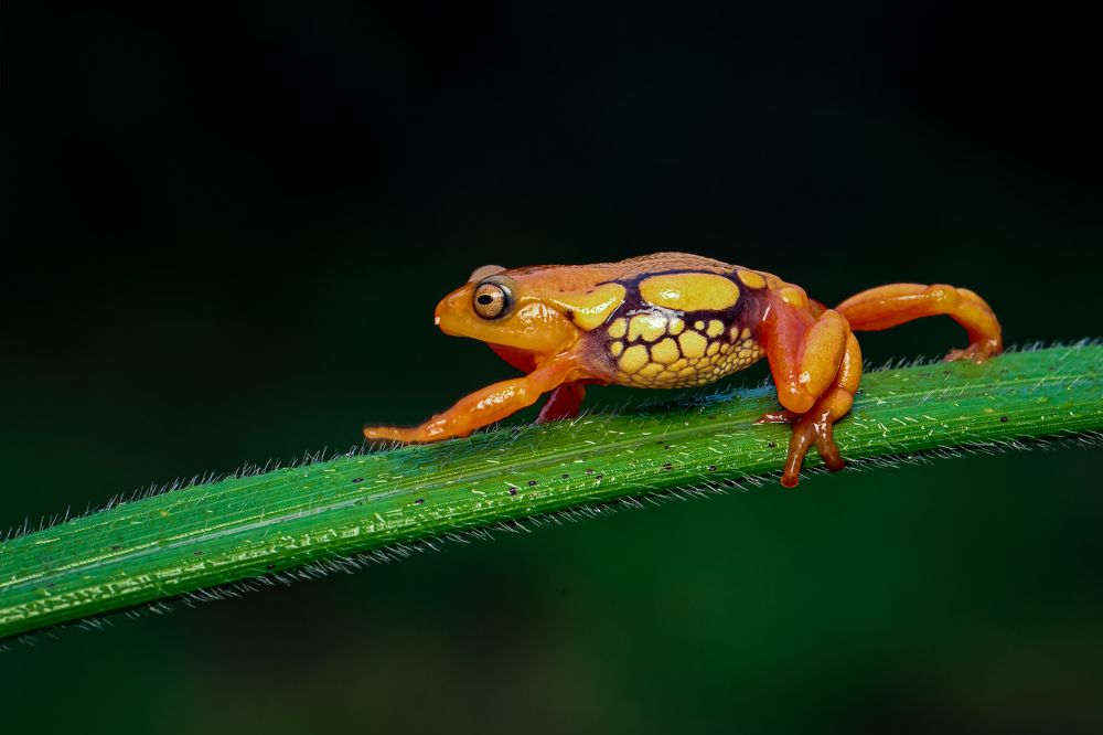 Photograph by Dhruv Shilpi