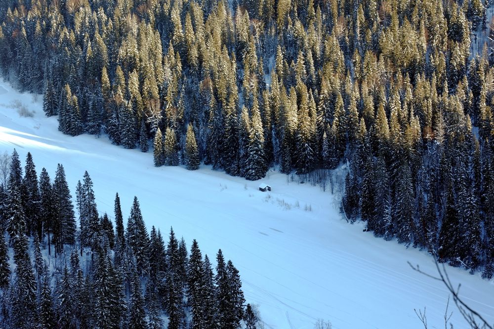 Photograph by Елена Титенская