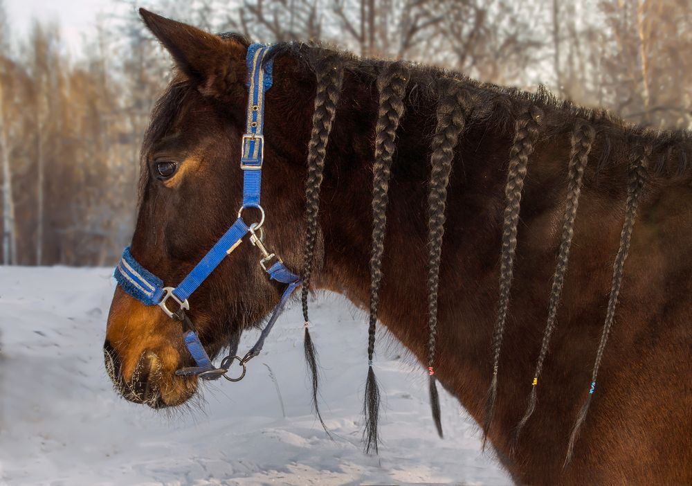 Фотография автора Чичкин Валерий
