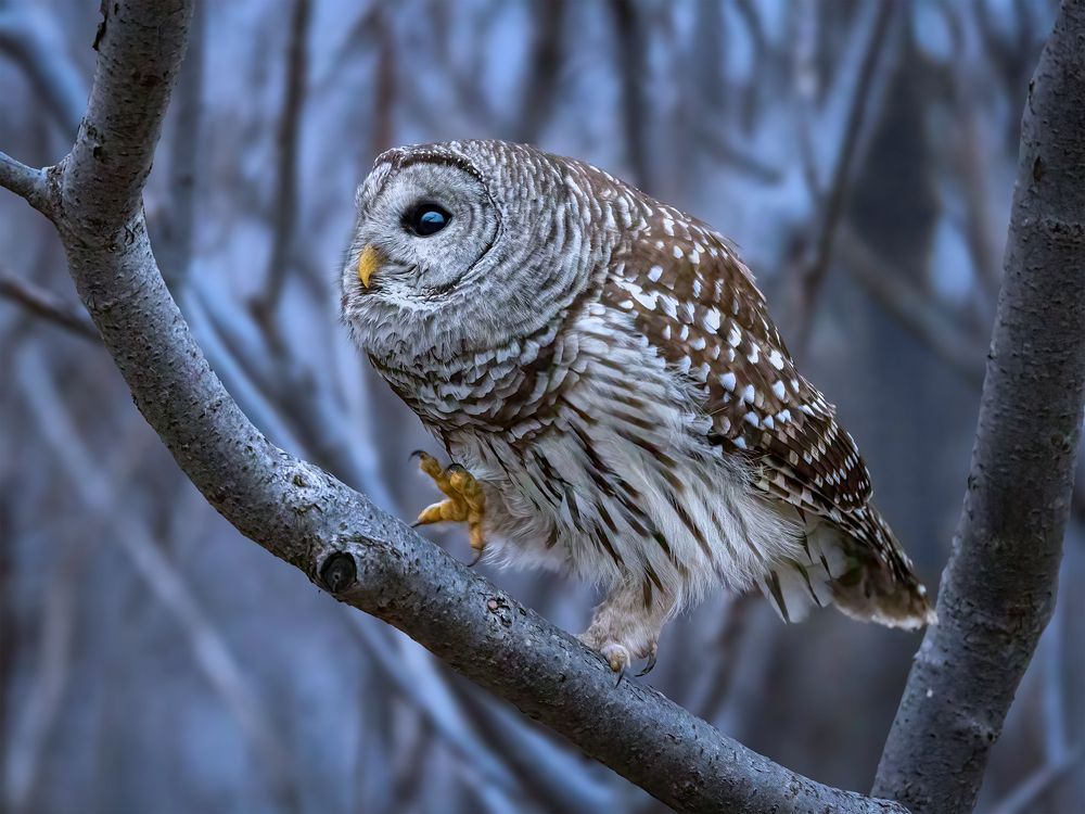 Photograph by Zhenhuan Zhou