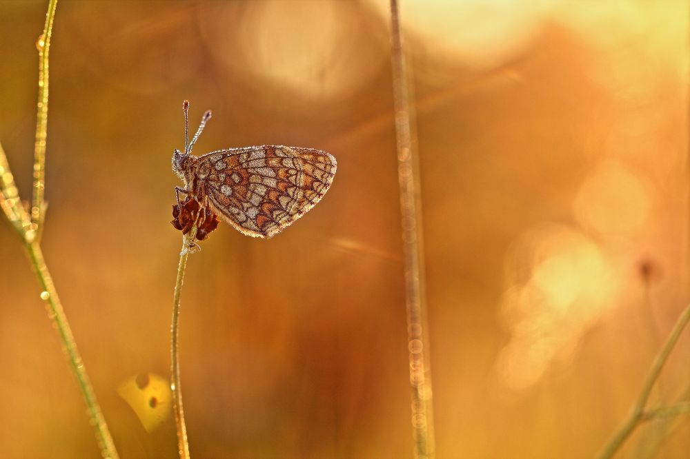 Photograph by Олег Резенов