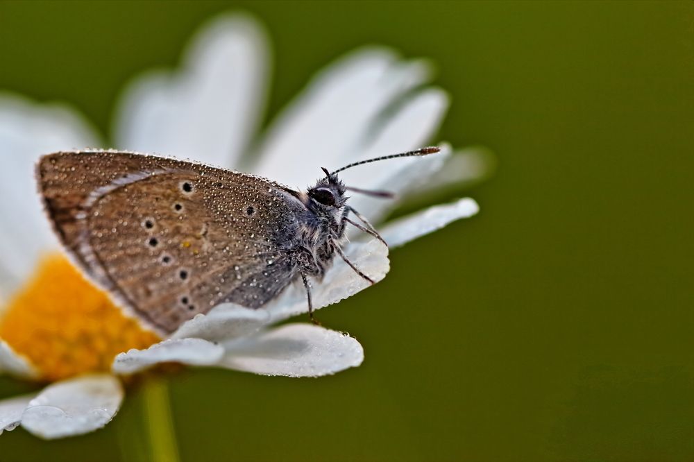 Photograph by Олег Резенов