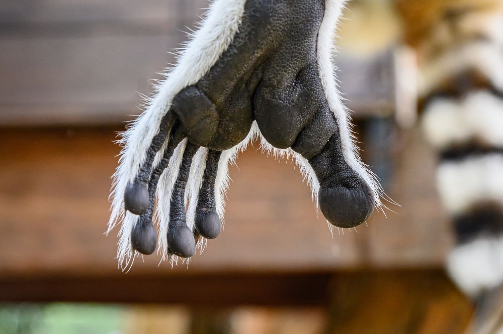 Photograph by Борис Недосеков