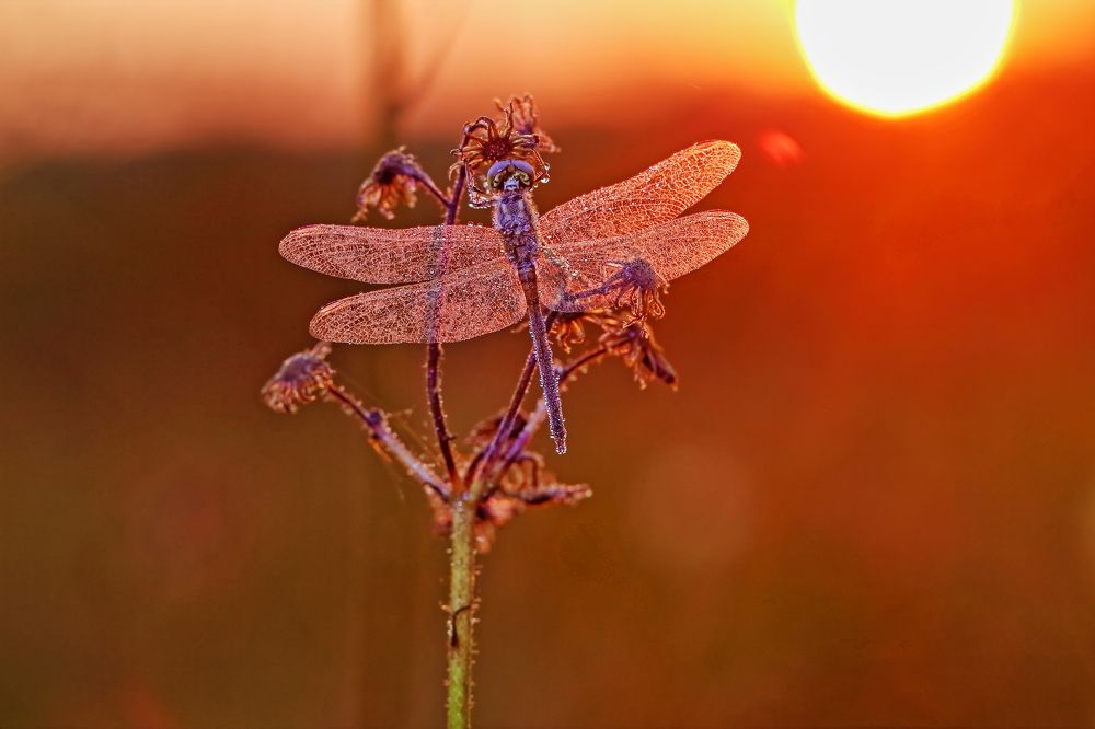 Photograph by Олег Резенов