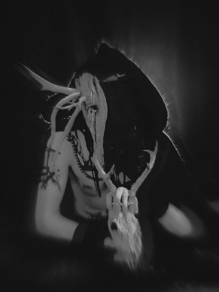 Photograph by Виктория Гусь