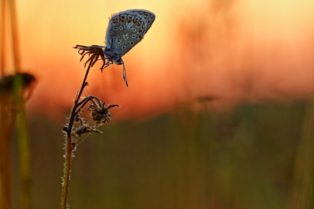 Photograph by Олег Резенов