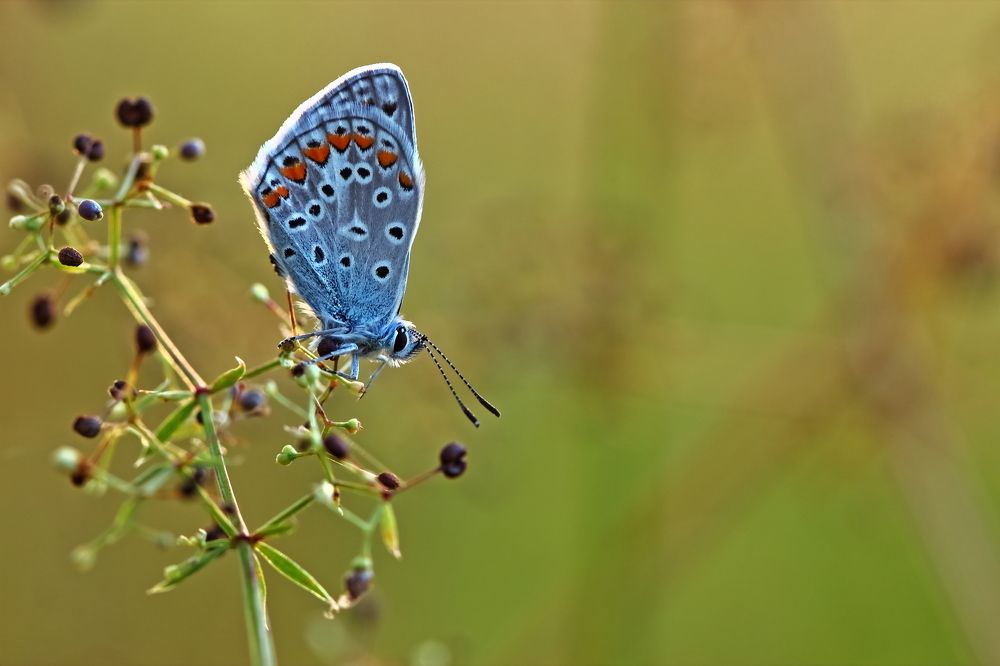 Photograph by Олег Резенов