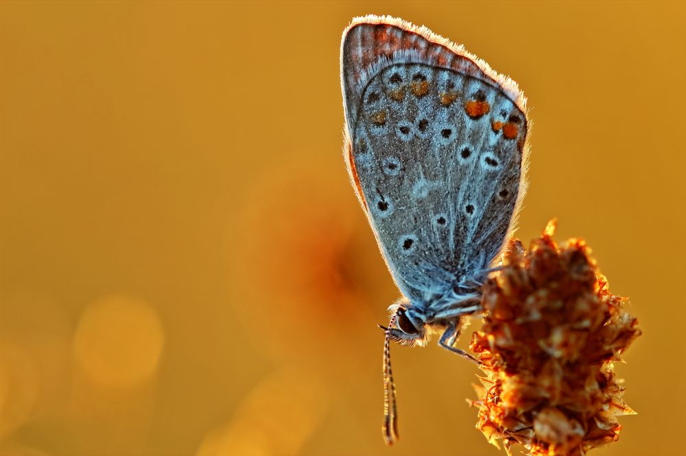 Photograph by Олег Резенов