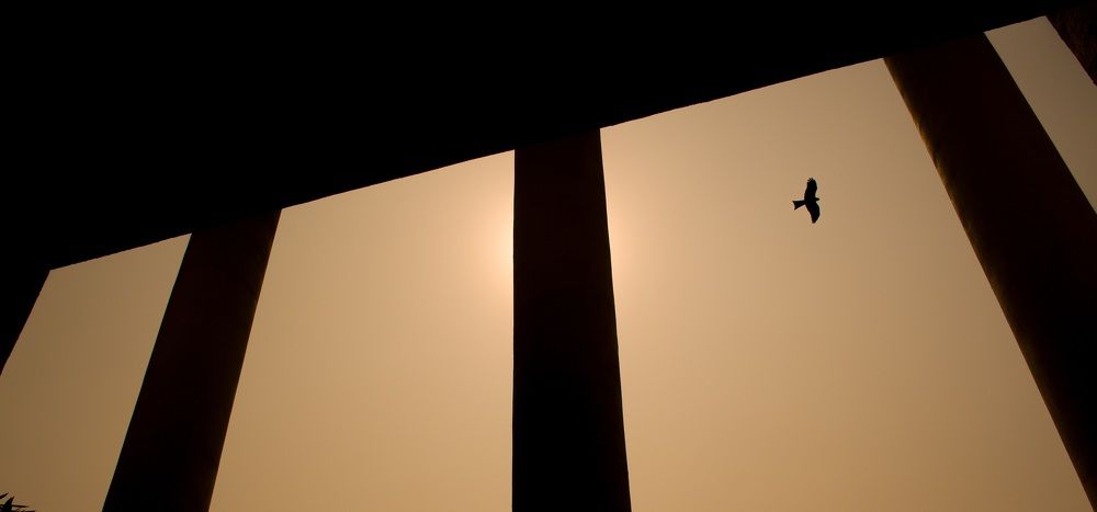 Photograph by Debraj Roy