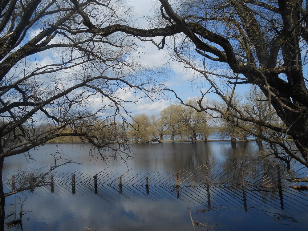 Photograph by Ольга Попова