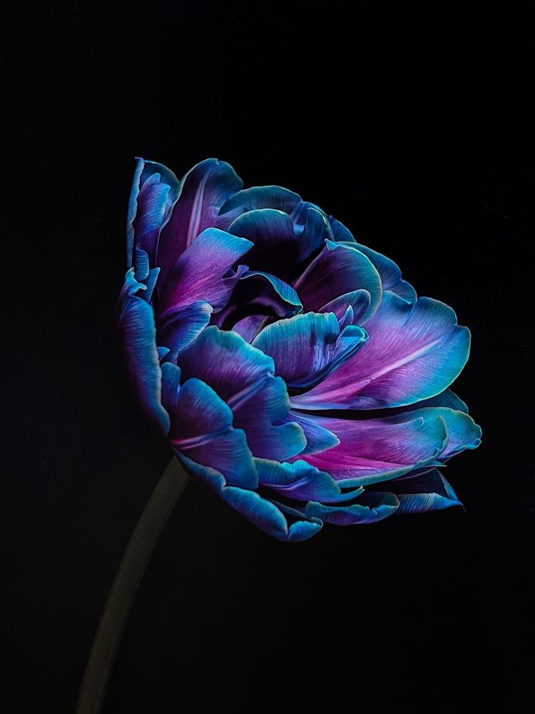 Photograph by Олена Уманцева