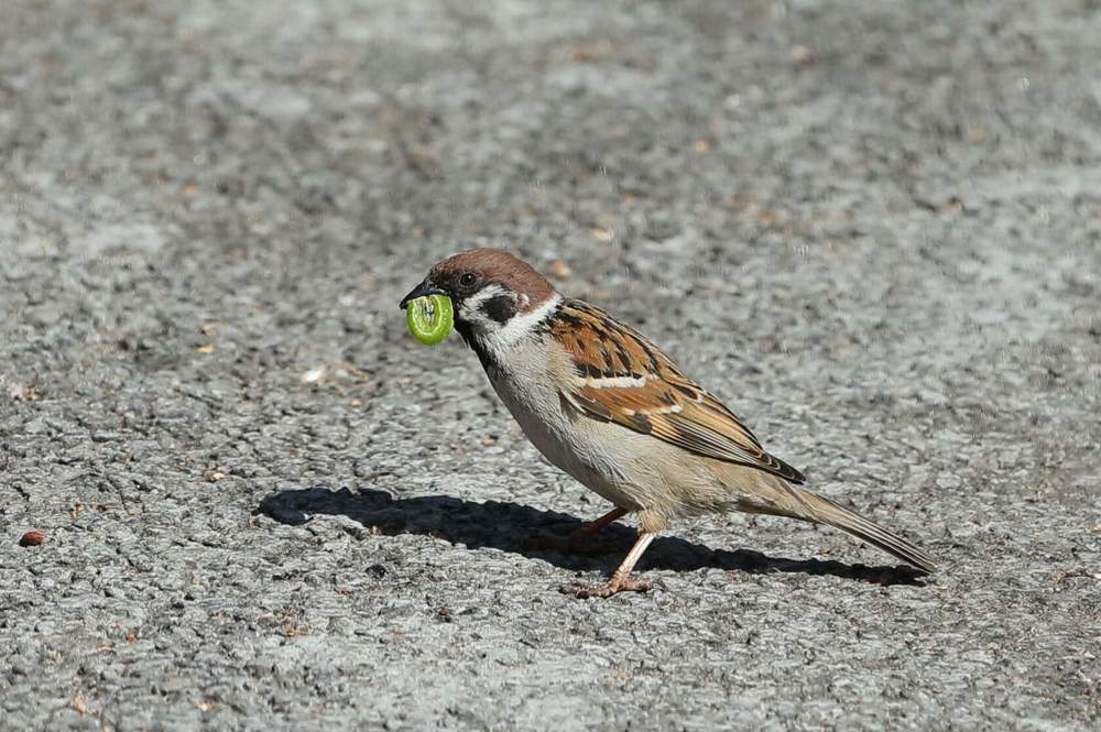 Photograph by Шевченко Алексей