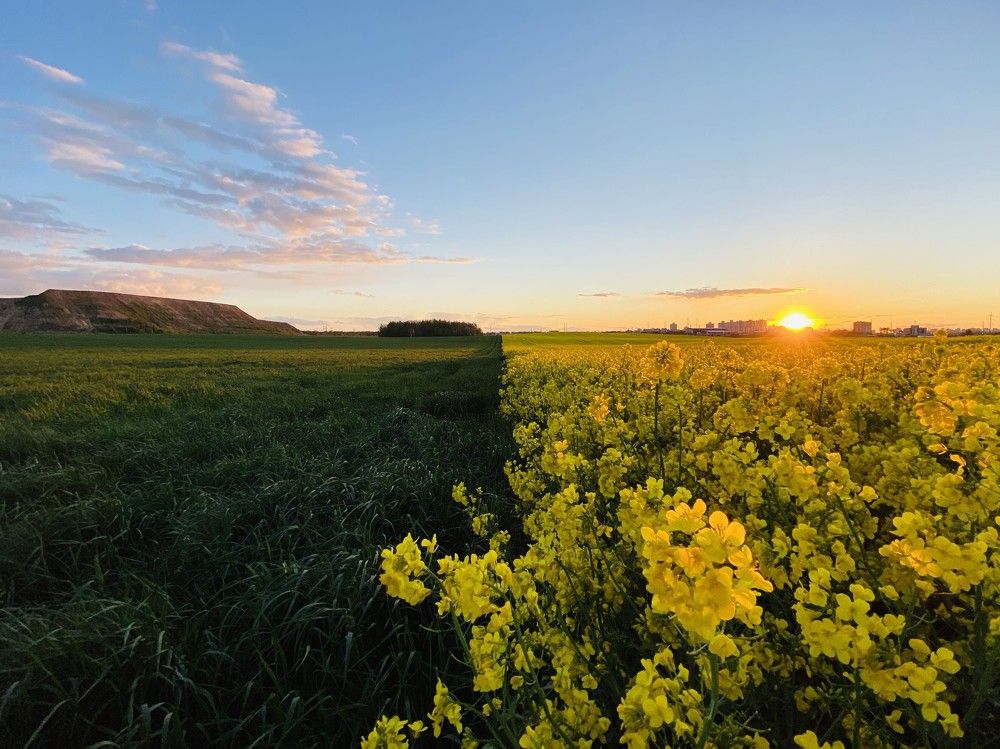 Фотография автора Юлия Дударёнок