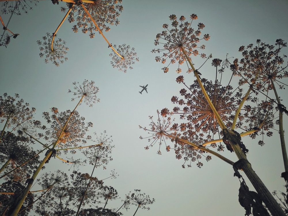 Photograph by Алексей