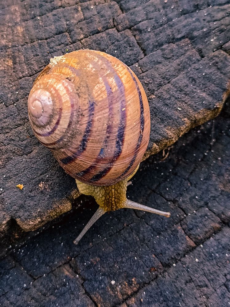 Photograph by Лариса Пасечник