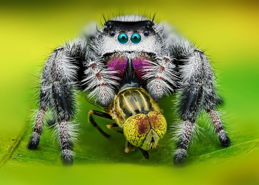 Photograph by Tran The Ngoc