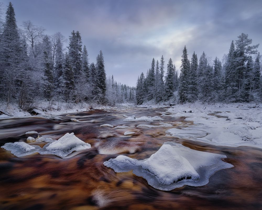 Фотография автора Dmitry Medyancev