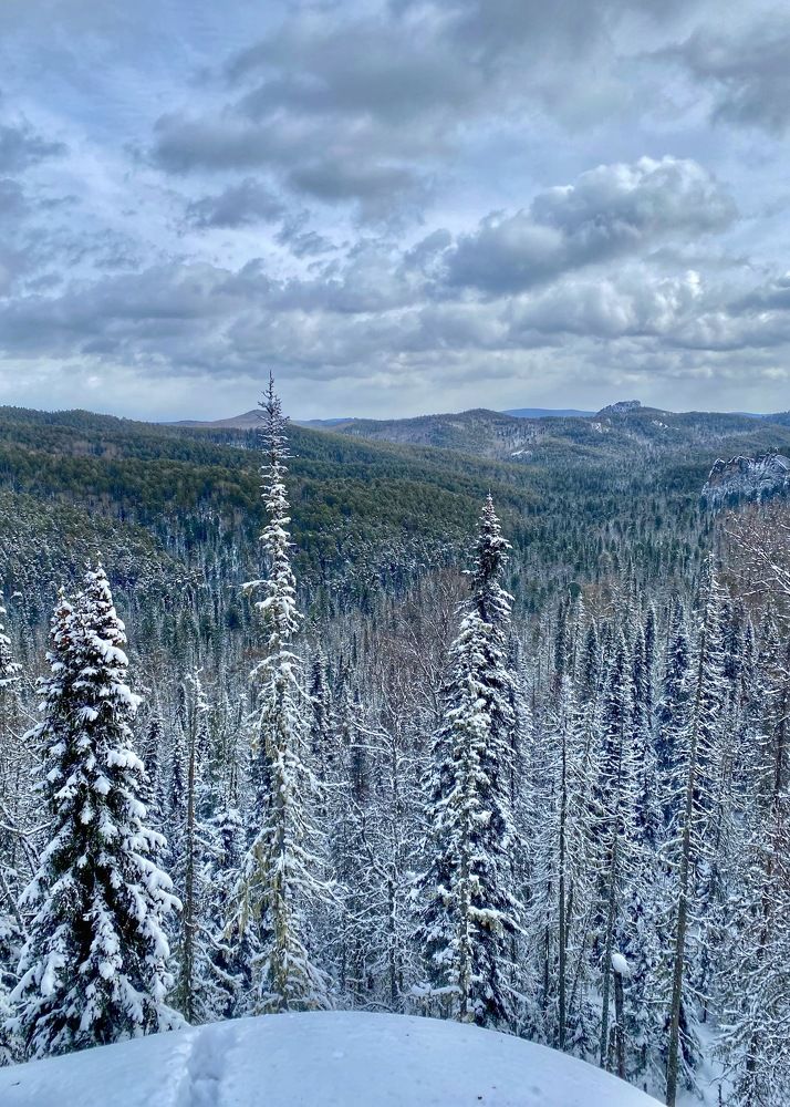 Зима на столбах