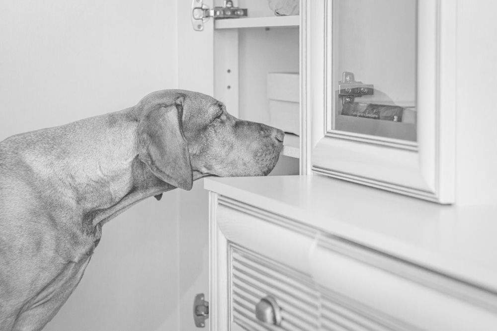 Photograph by Эльнара Васифовна