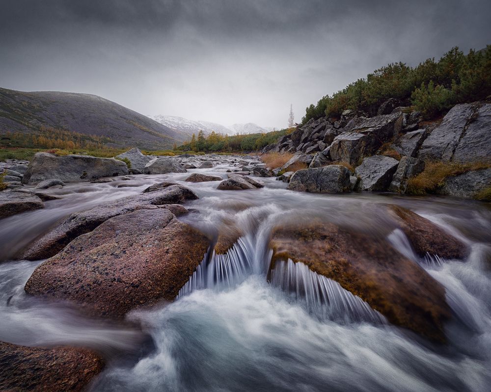 Фотография автора Dmitry Medyancev