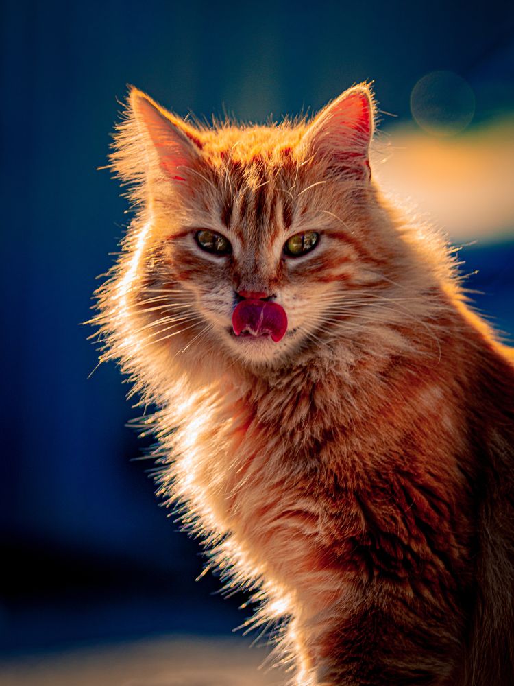 Photograph by Игорь Толкачев