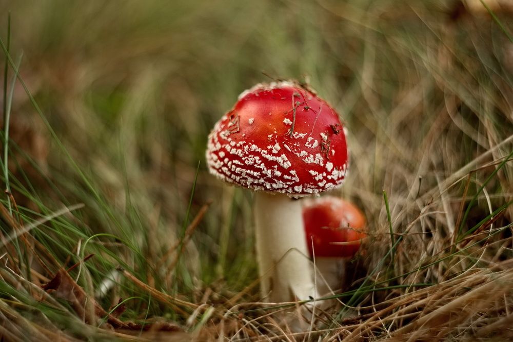 Фотография автора Юрий