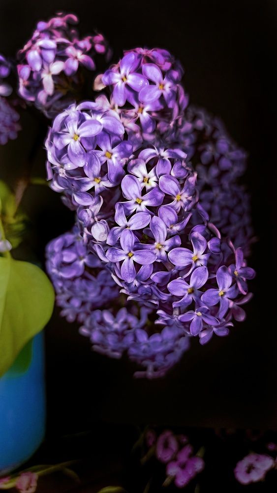 Photograph by Олеся Лосыгина