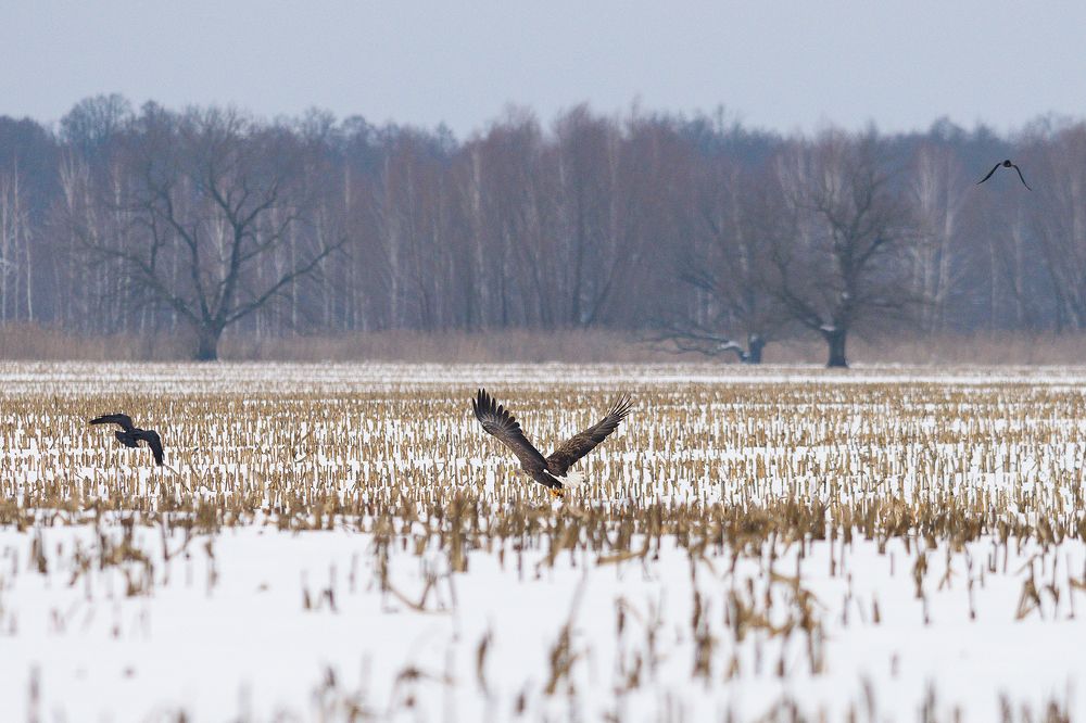 Фотография автора Александр Добыш
