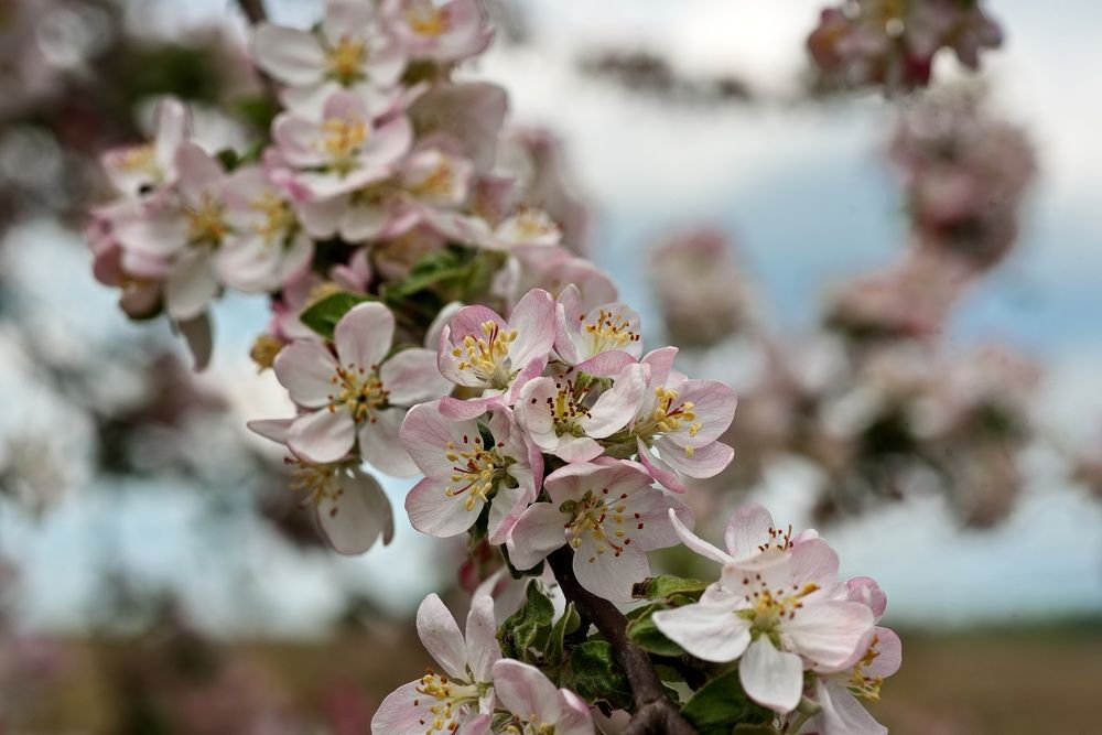 Фотография автора Юрий