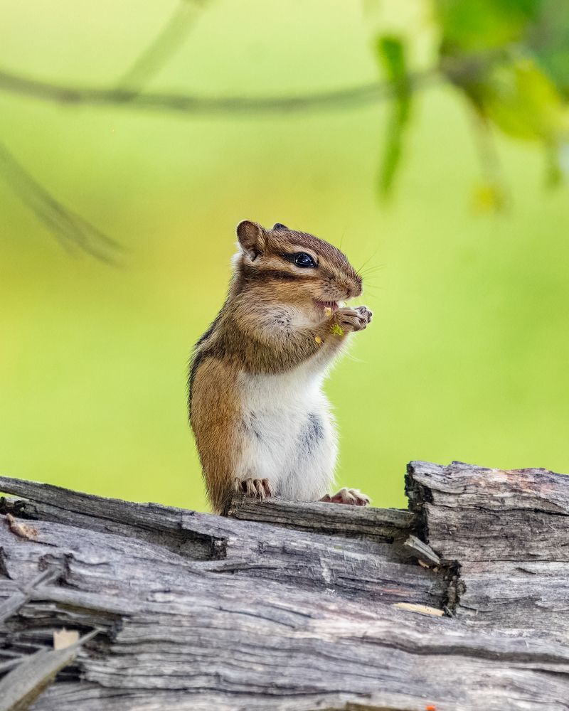 Photograph by Екатерина Дубровская