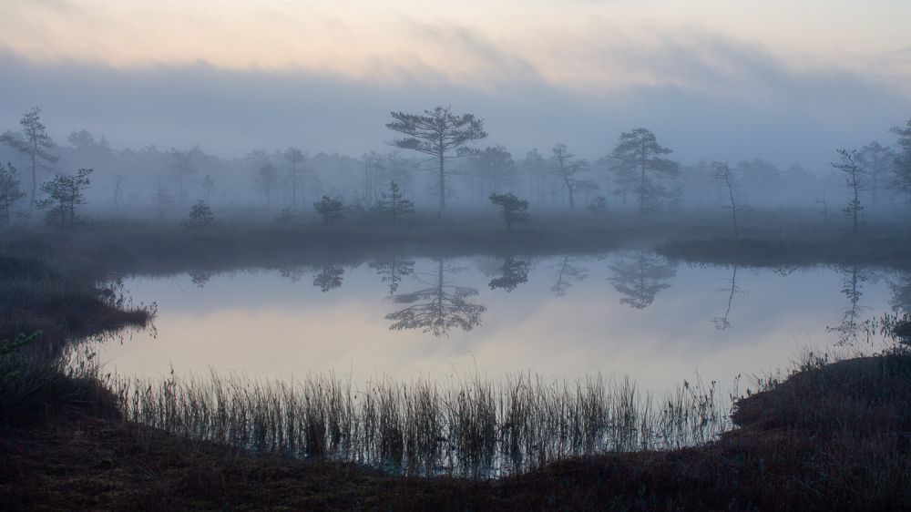 Photograph by Vera Komarova