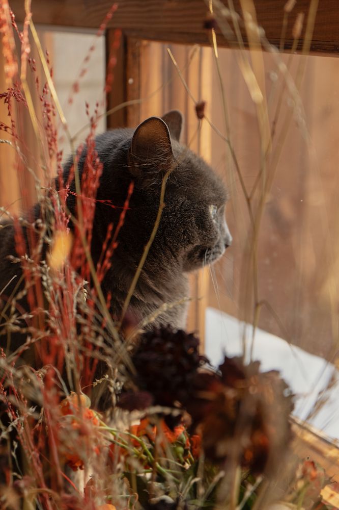 Photograph by Анна Марковская