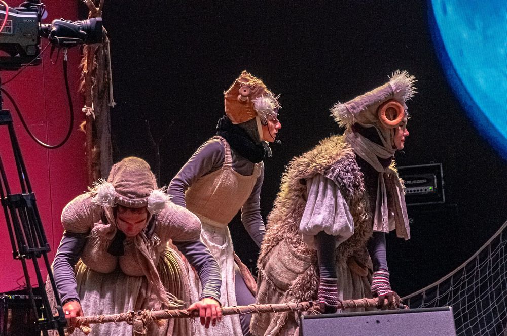 Photograph by Vladimir  Komarov