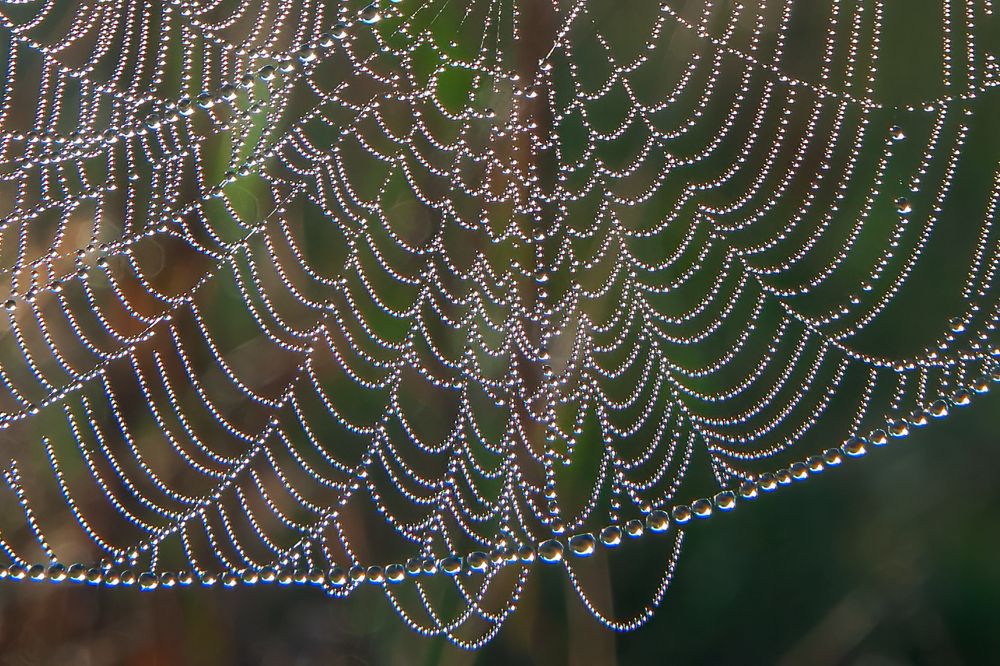 Photograph by Юрий Спасенников