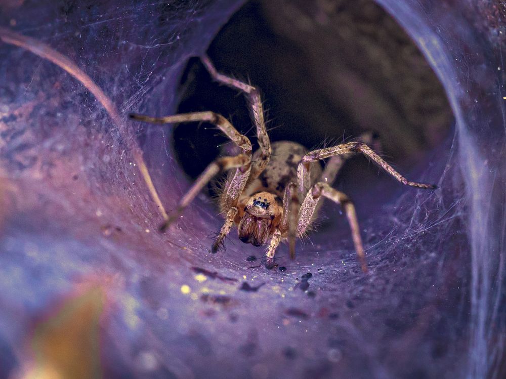 Photograph by Игорь Толкачев