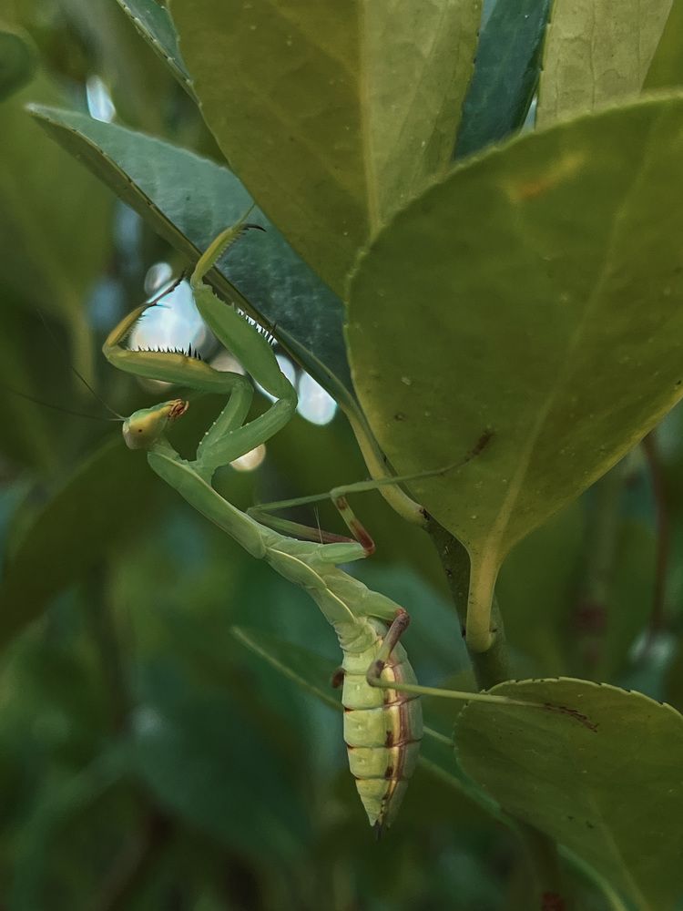 Photograph by Елена Гайдай