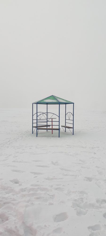 Photo #10337559