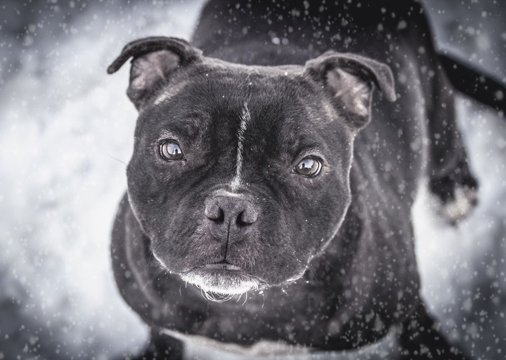 Photograph by Евгения Барановская