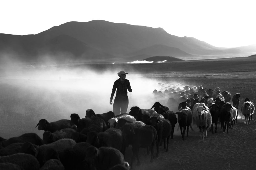 Photograph by Ali Karimi