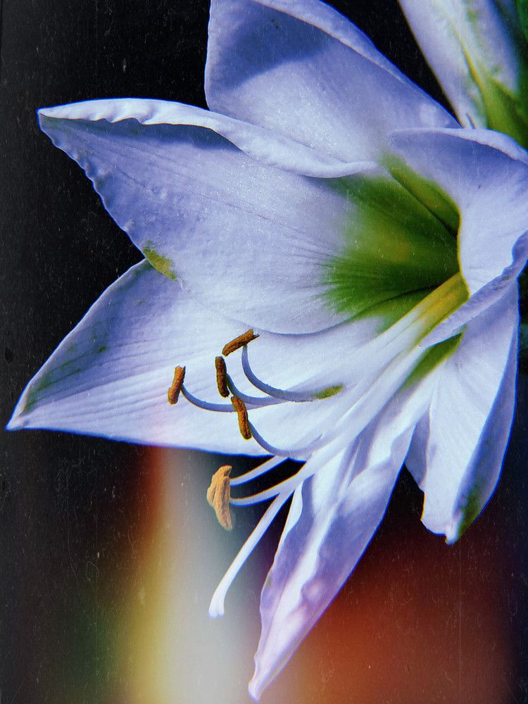 Photograph by Алеся Береснева