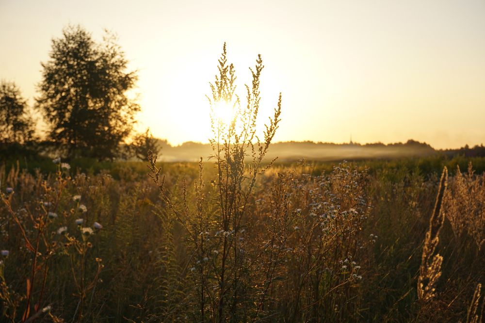 Photograph by Александра Пецевич